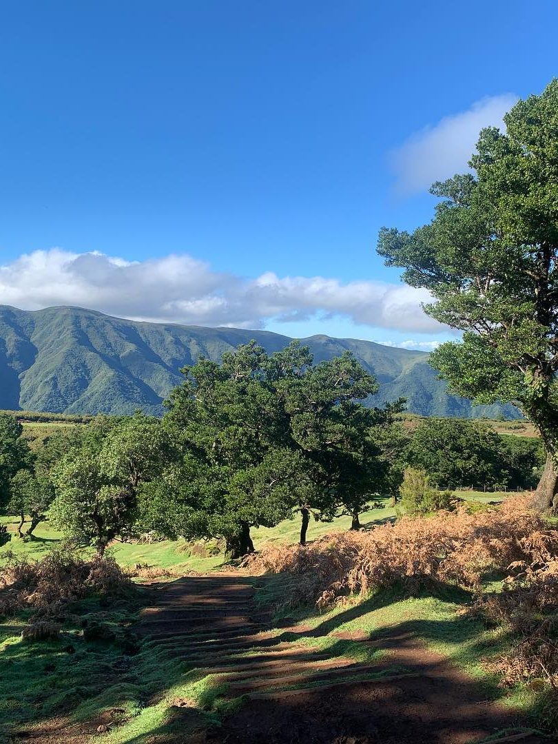 Vereda do Fanal madeira 