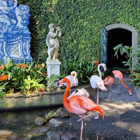 Monte Palace Tropical Gardens op Madeira