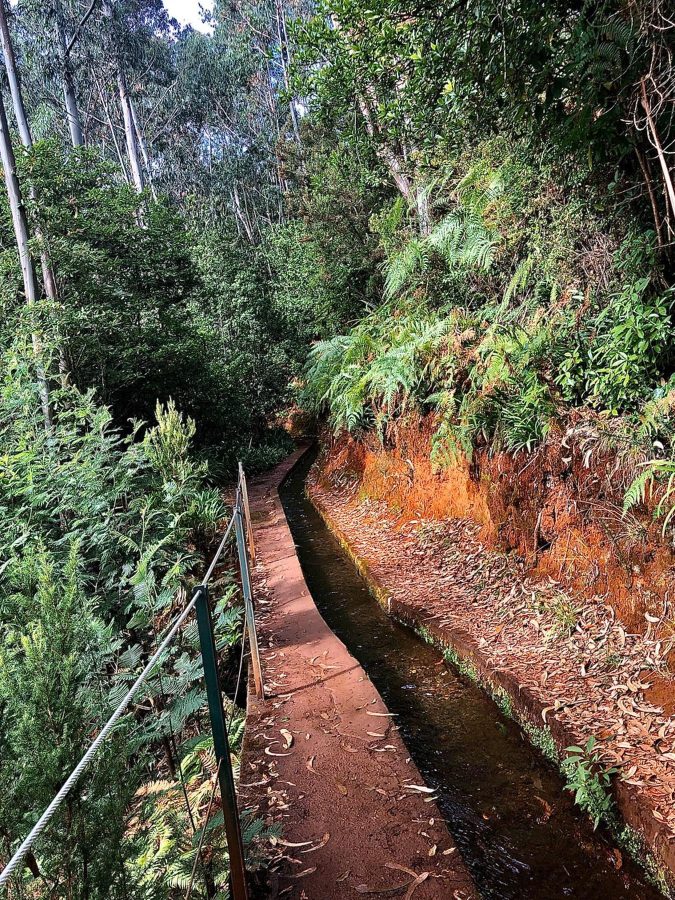 de hike langs Levada do Rei