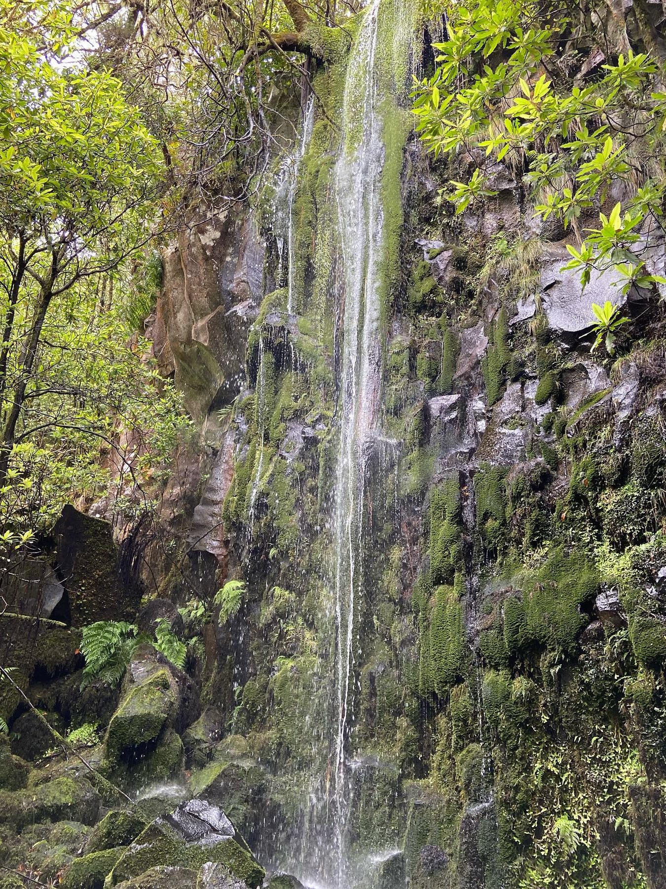 De waterval langs Levada dos Cedros 
