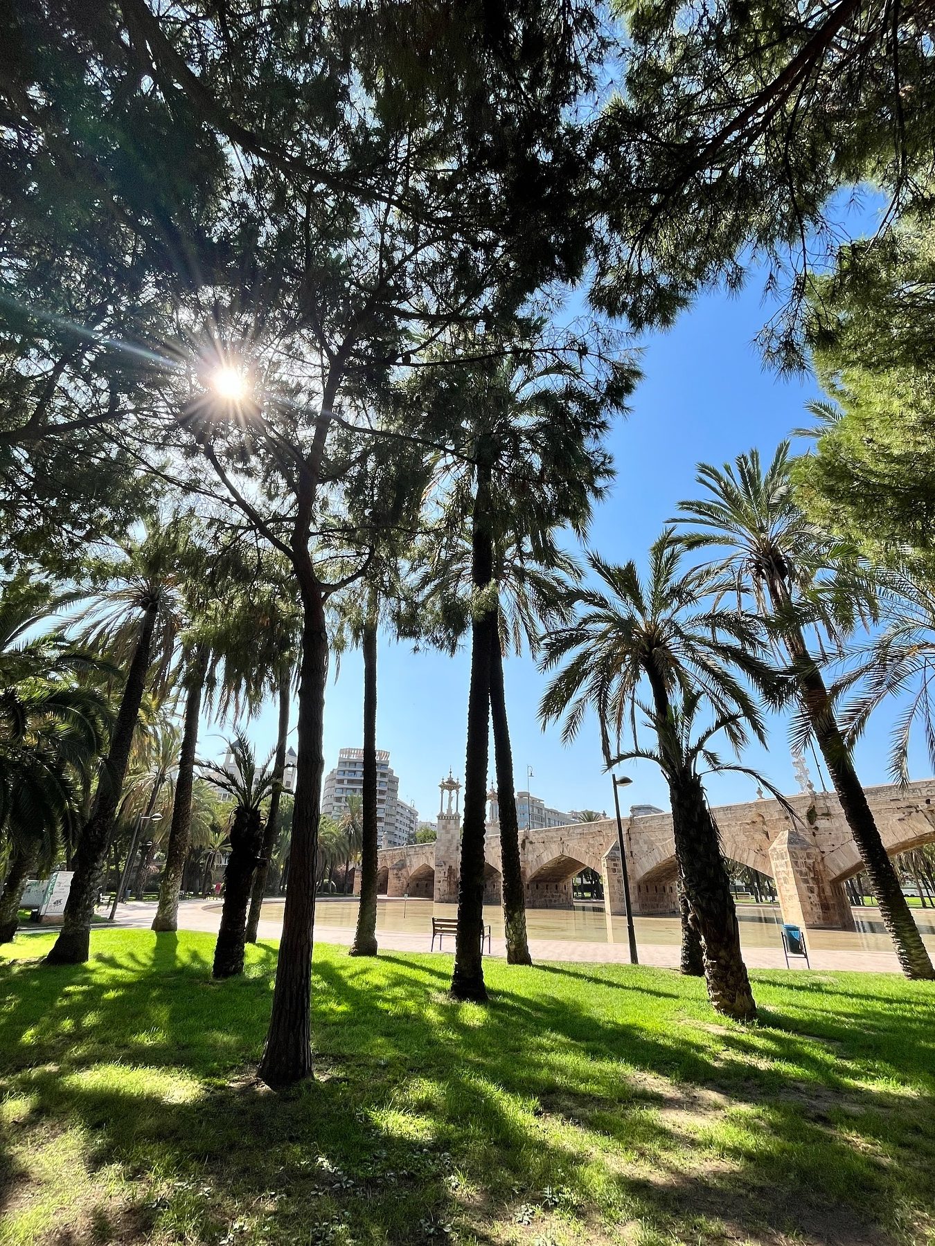 jardin del turia valencia