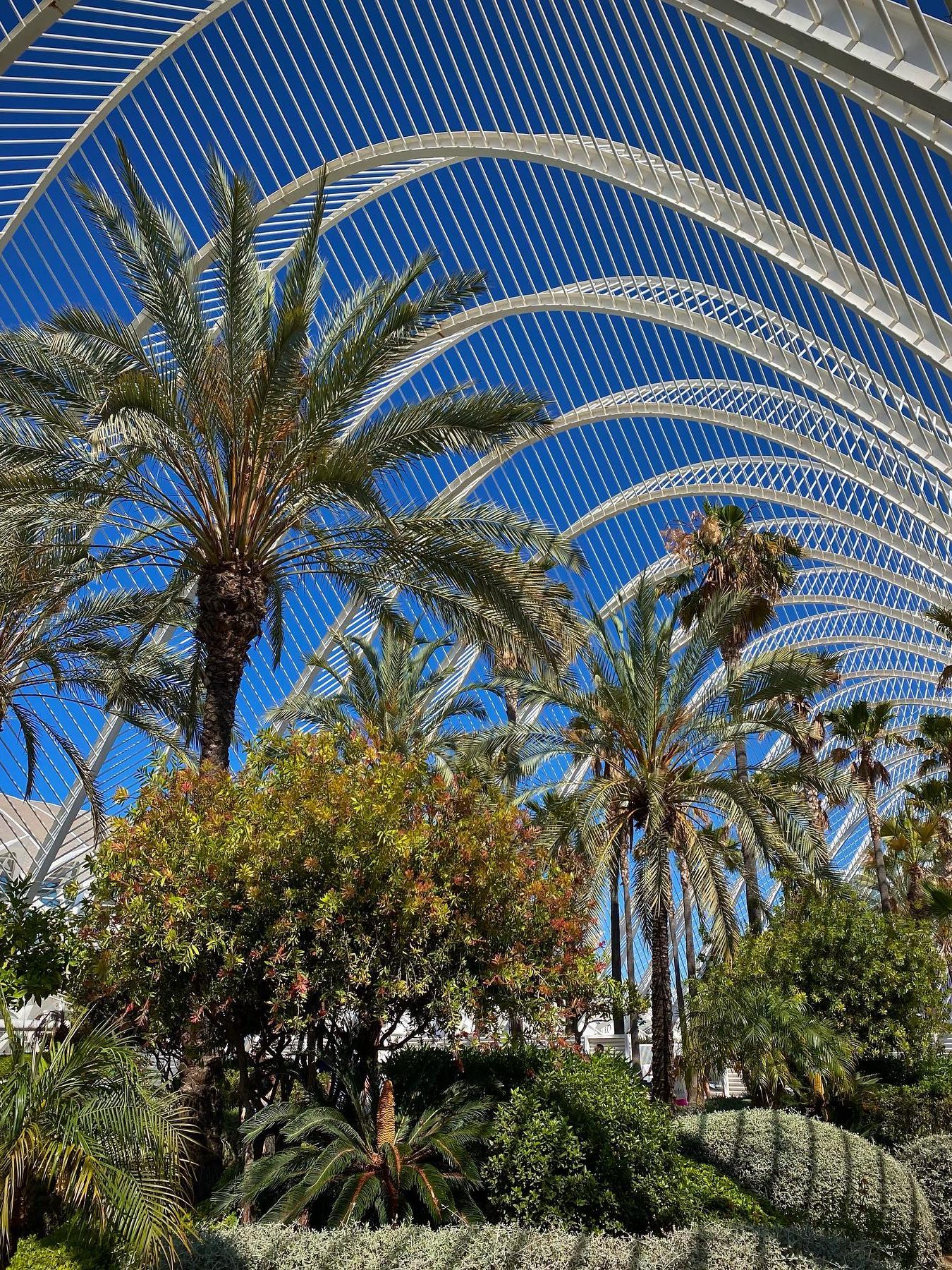 l'umbracle valencia tuin stad van kunst en wetenschap 