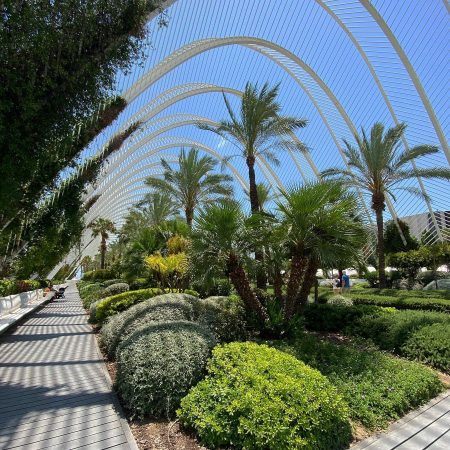 De bijzondere tuin l'Umbracle in Valencia