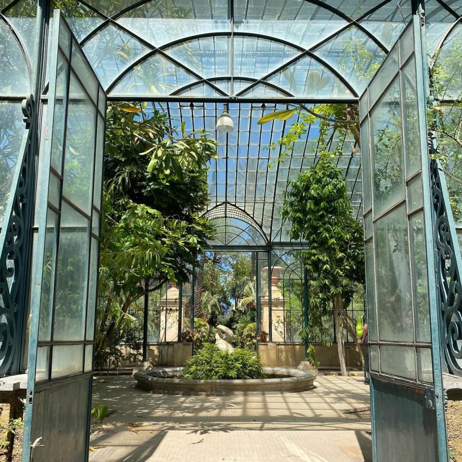 wat te doen in palermo botanische tuin