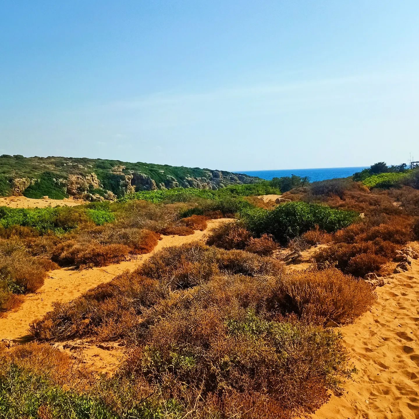 Riserva Naturale Oasi Faunistica di Vendicari 