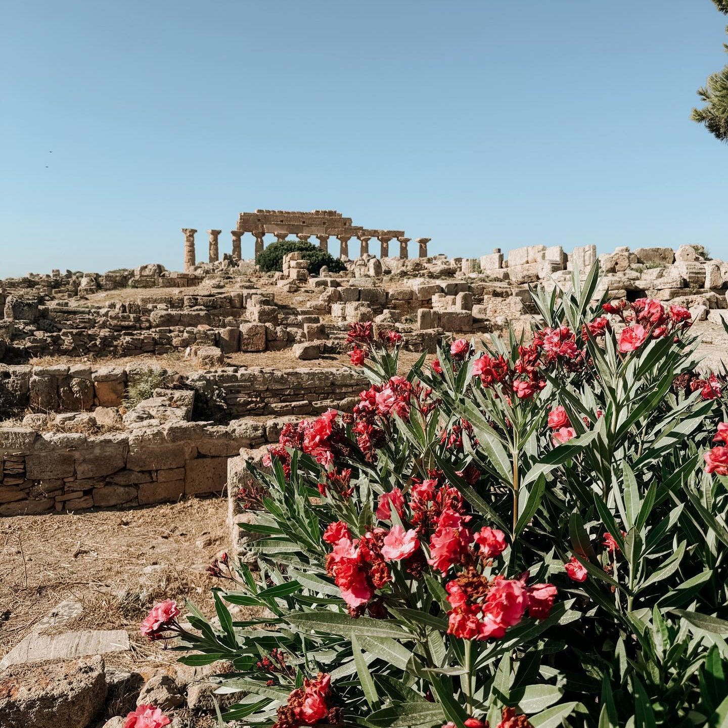 Selinunte Archeologisch Park