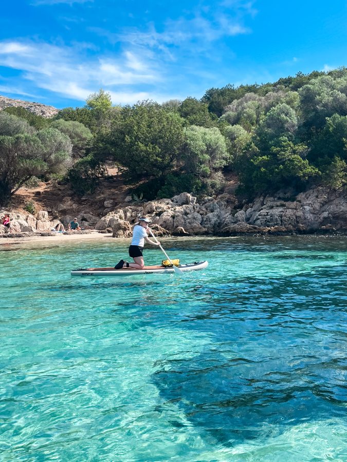 suppen met dolfijnen op sardinië