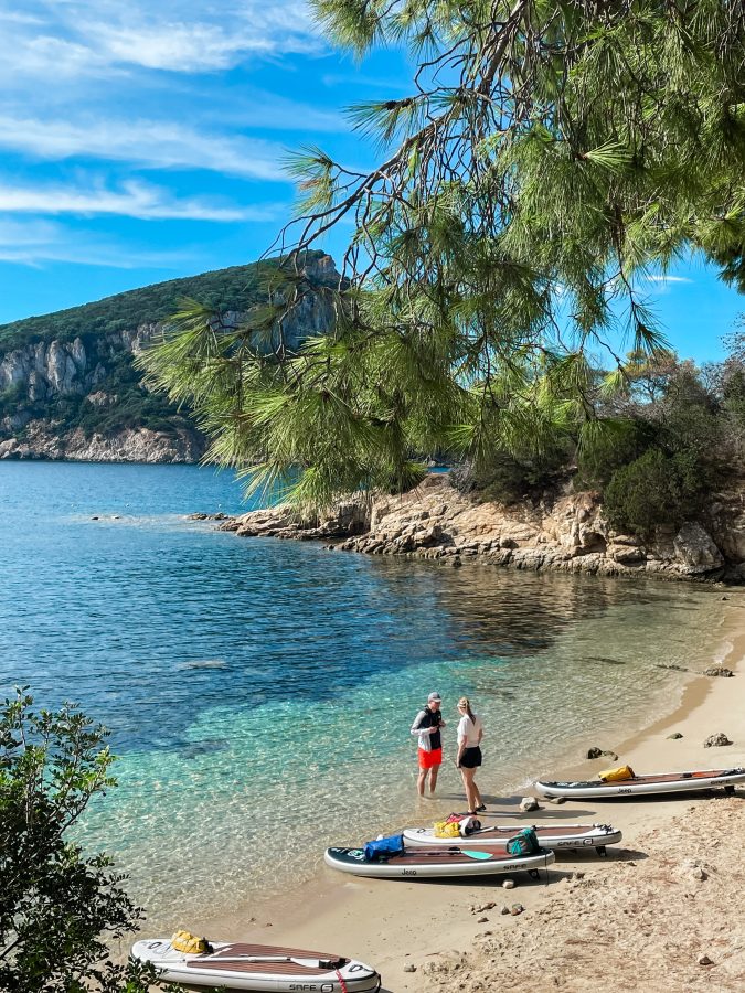 suppen met dolfijnen op sardinië