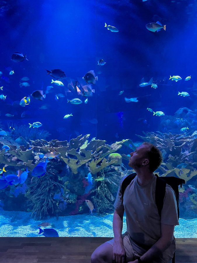 aquarium valencia