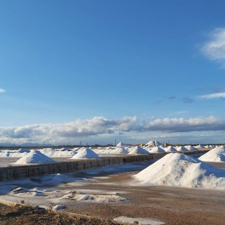 Zoutvlaktes bij Cagliari: Saline Conti Vecchi