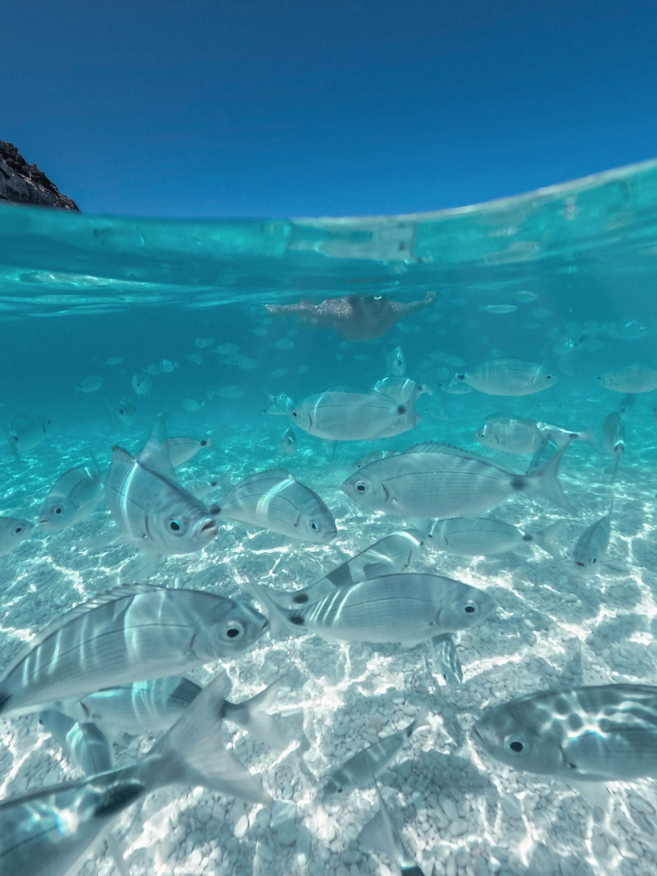 mooiste plekken om te snorkelen op Sardinië