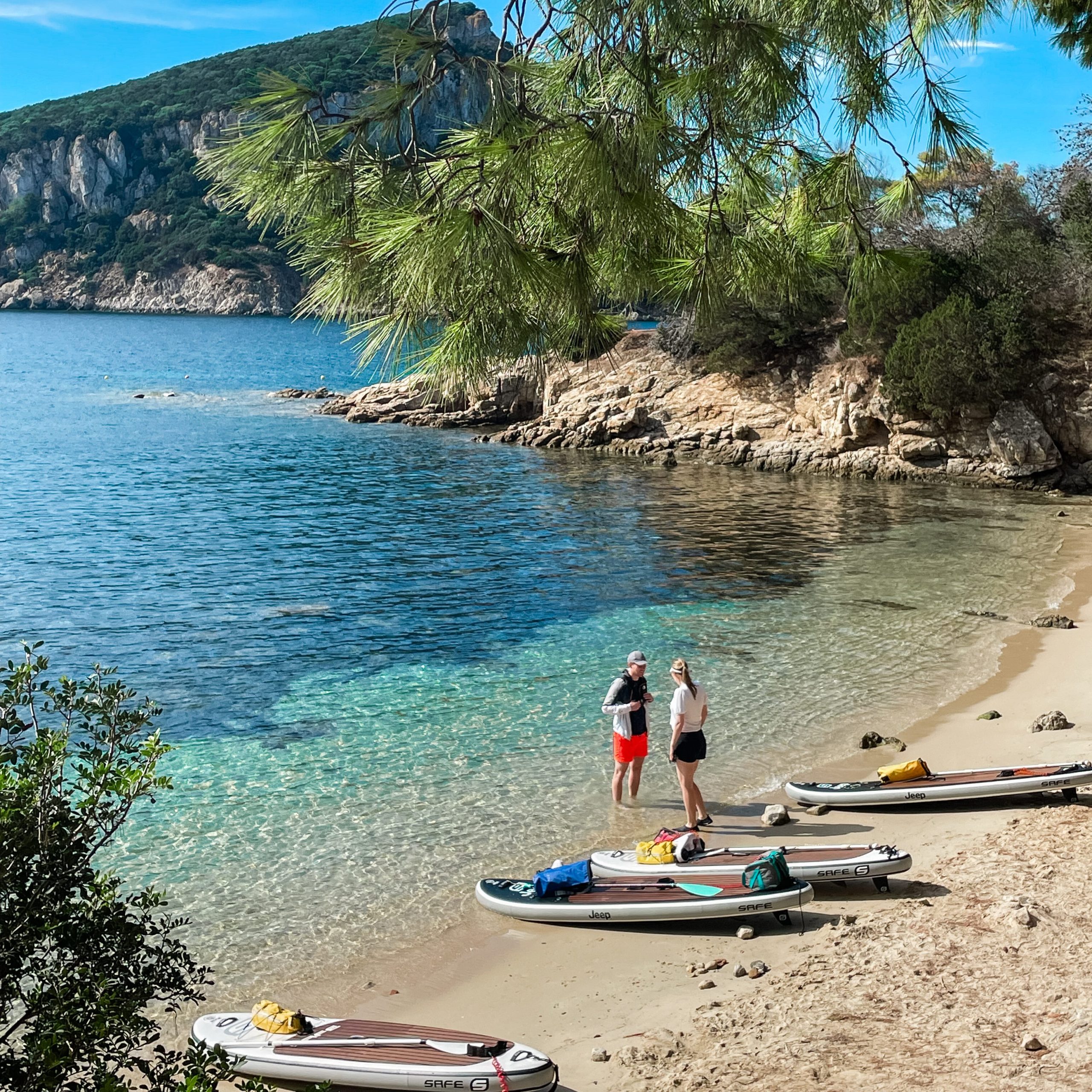 suppen met dolfijnen op sardinië