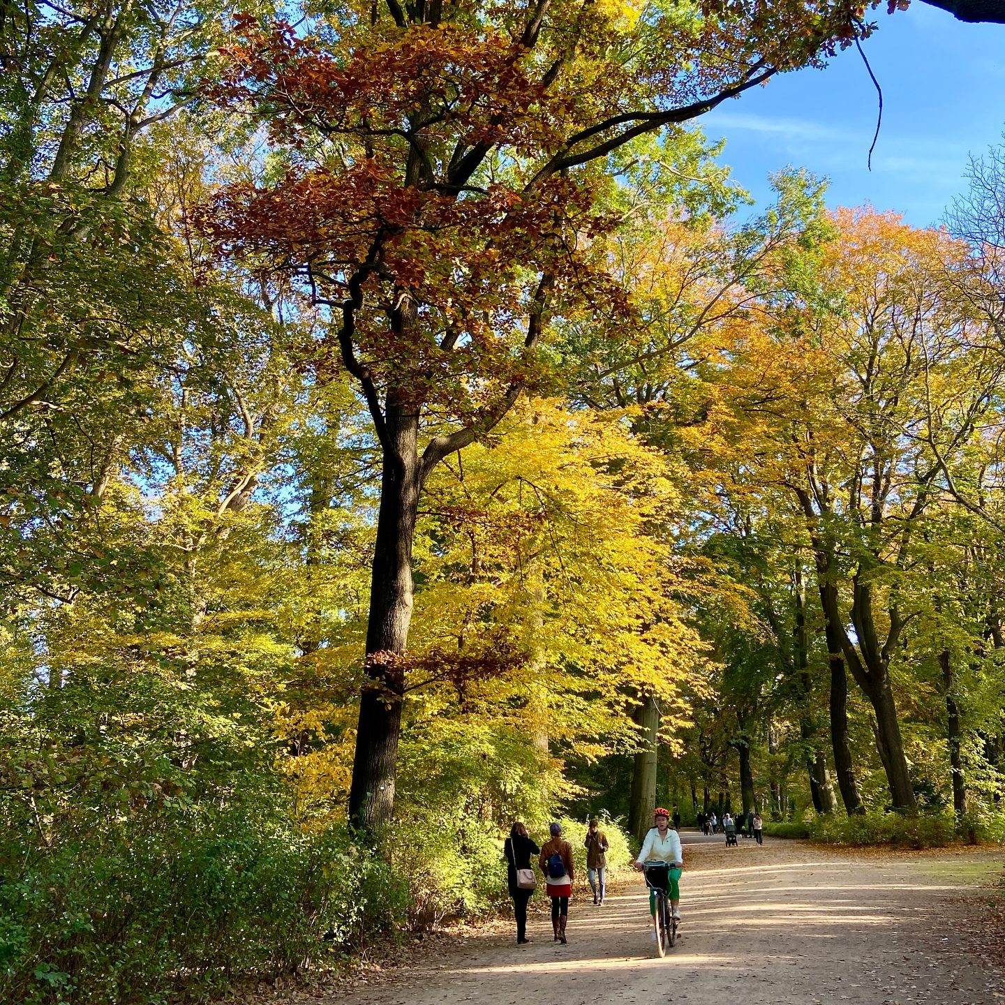 Treptower Park