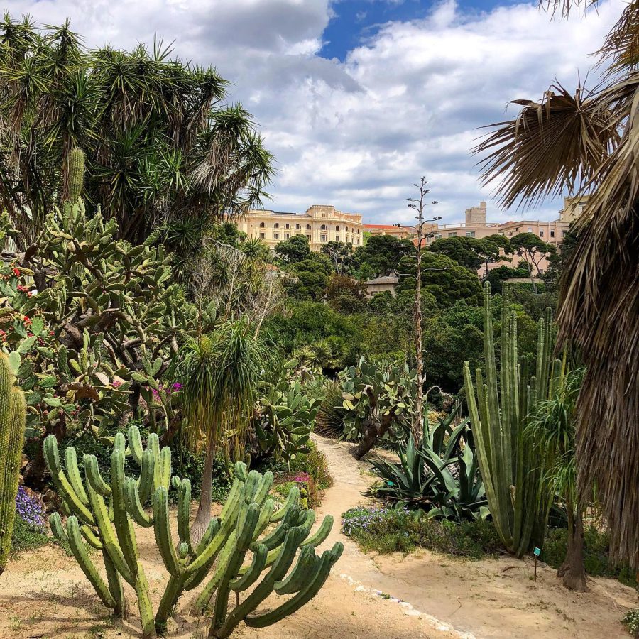 bezienswaardigheden in cagliari botanische tuin