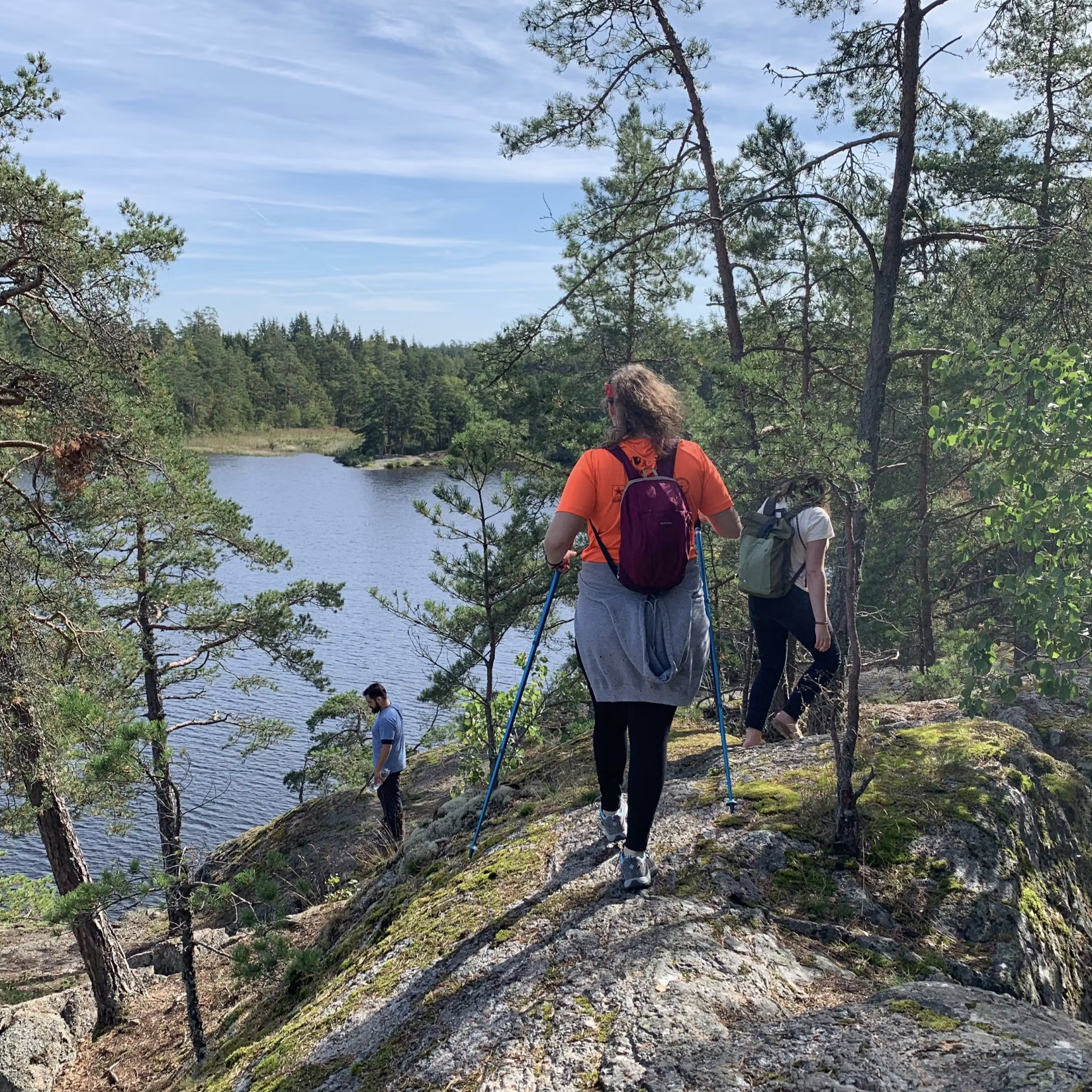 dingen om te doen in stockholm natuurwandeling