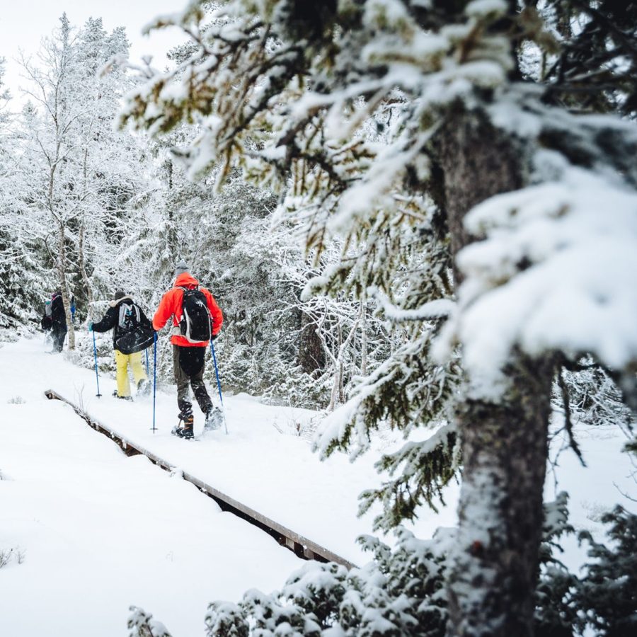 sneeuwschoenen loop stockholm leuke dingen om te doen