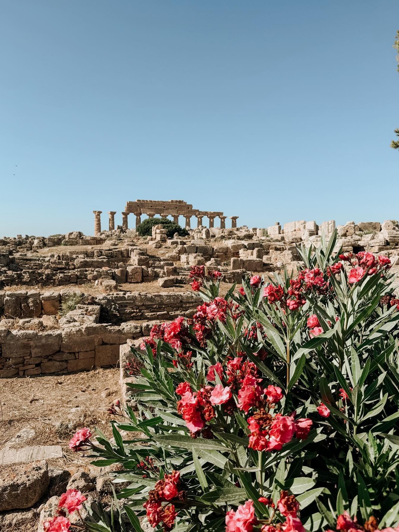 Selinunte Archeologisch Park