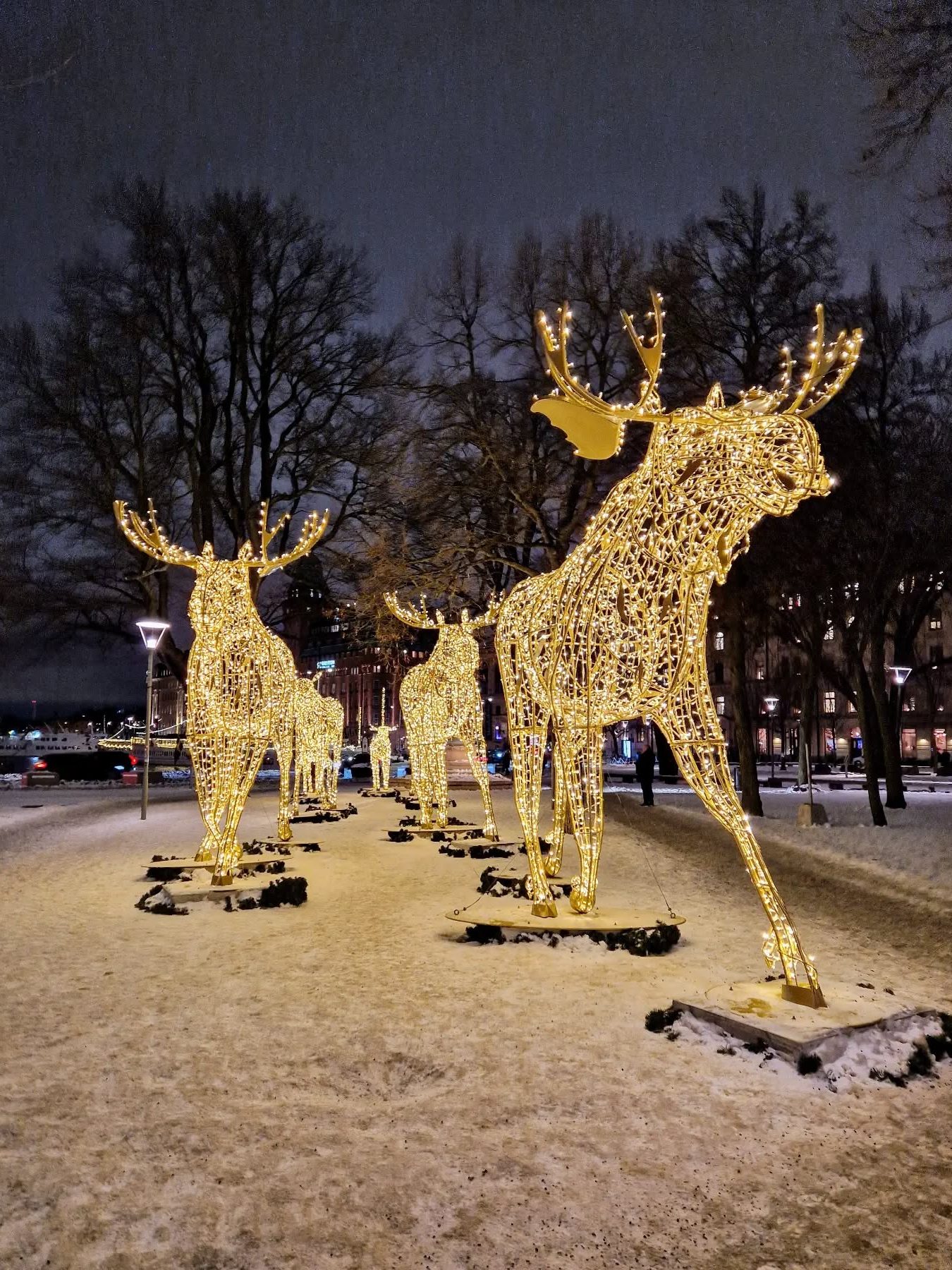 mooiste Kerstverlichting in Stockholm (Stockholmsjul)